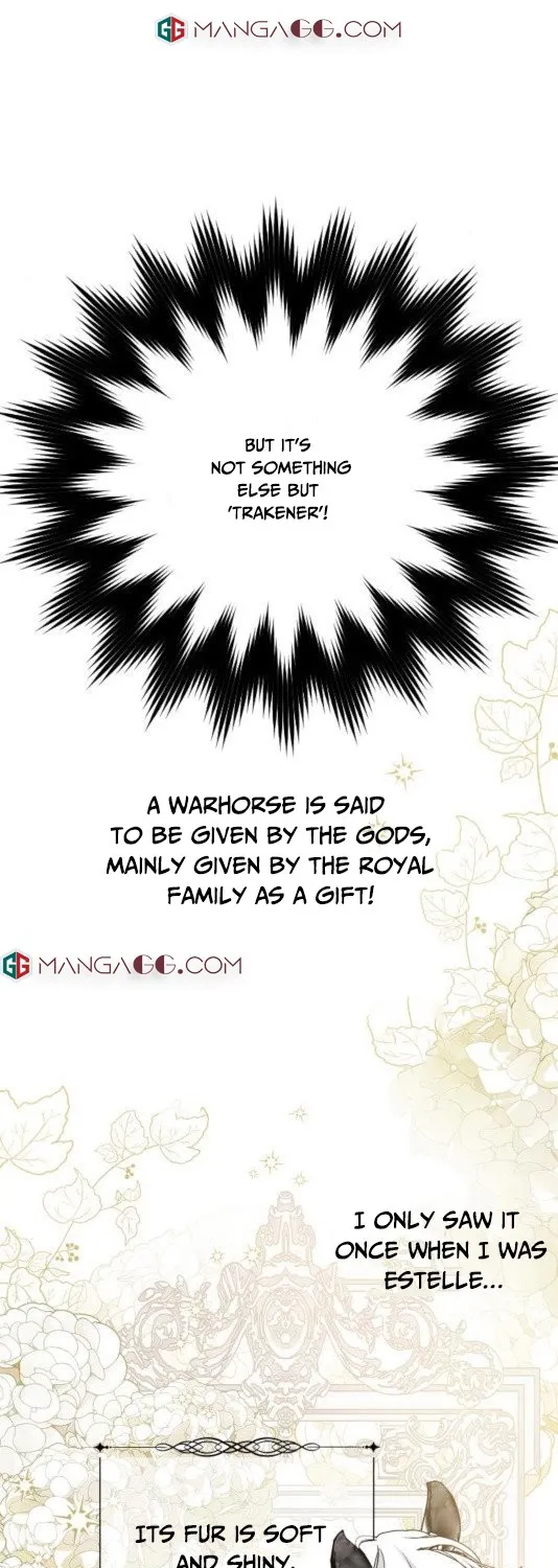 The Way That Knight Lives As a Lady Zinmanga X Chapter 55 Page 49