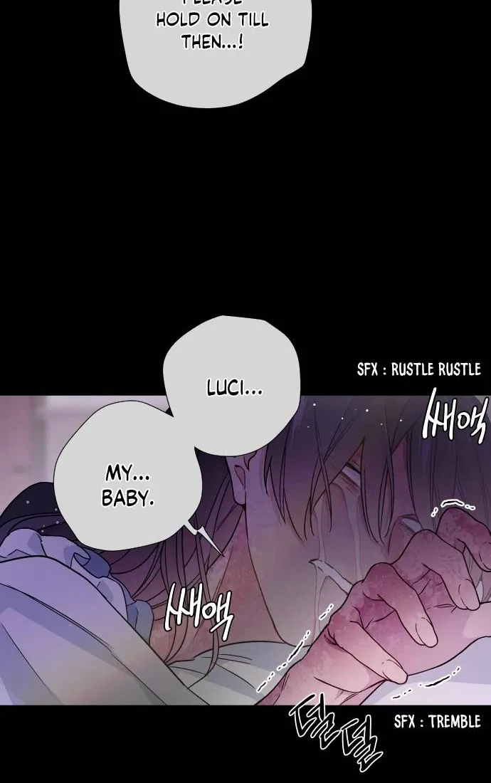 The Way That Knight Lives As a Lady Zinmanga X Chapter 26 Page 27