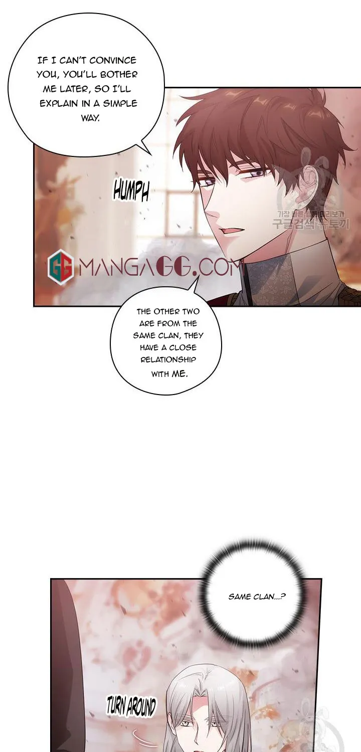Reminiscence Adonis Zinmanga X Chapter 193 Page 43