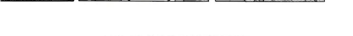 Nobunaga no Chef Zinmanga X Chapter 196 Page 6