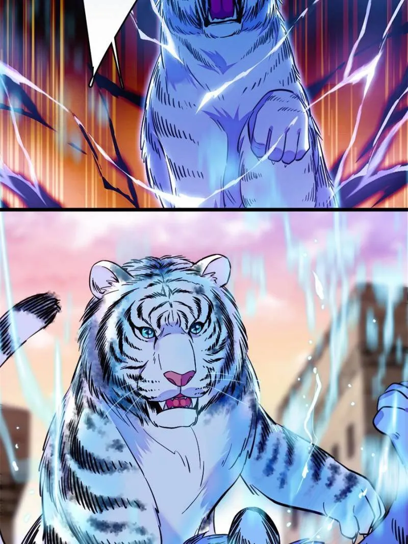 Romance in the Beast World Zinmanga X Chapter 271 Page 3