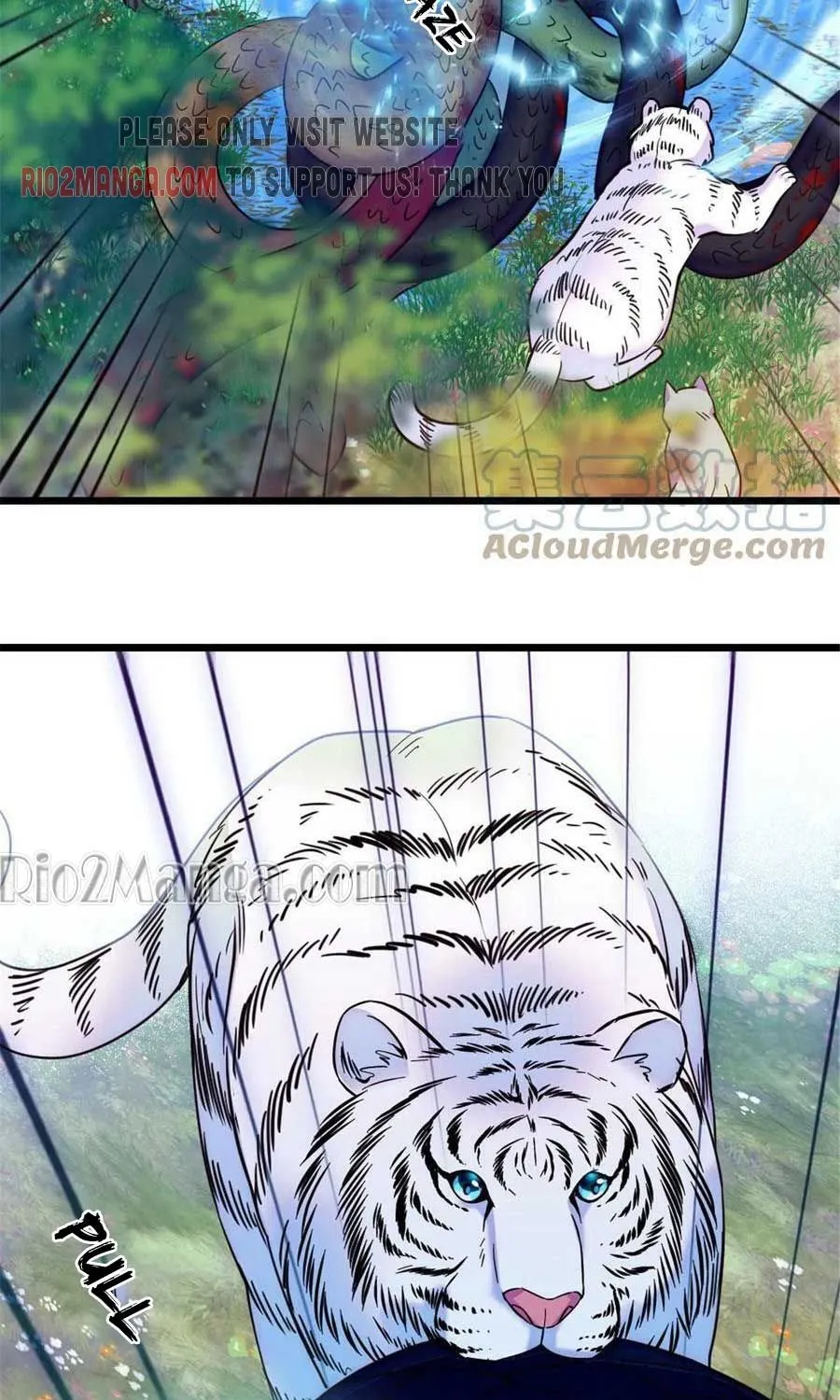 Romance in the Beast World Zinmanga X Chapter 91.5 Page 15