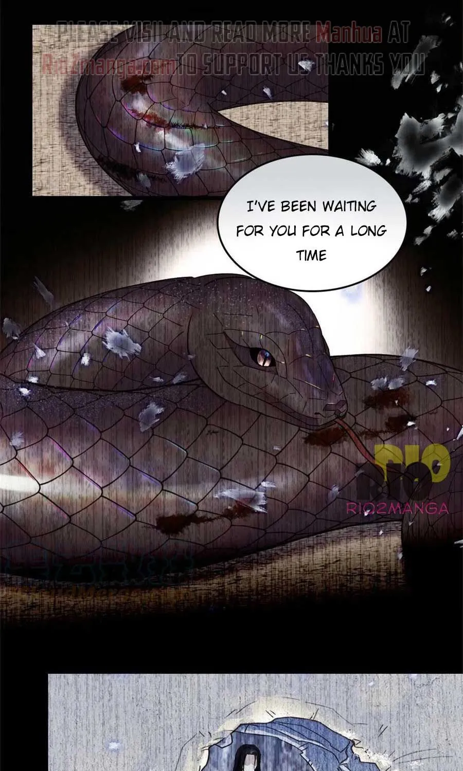 Romance in the Beast World Zinmanga X Chapter 71 Page 31