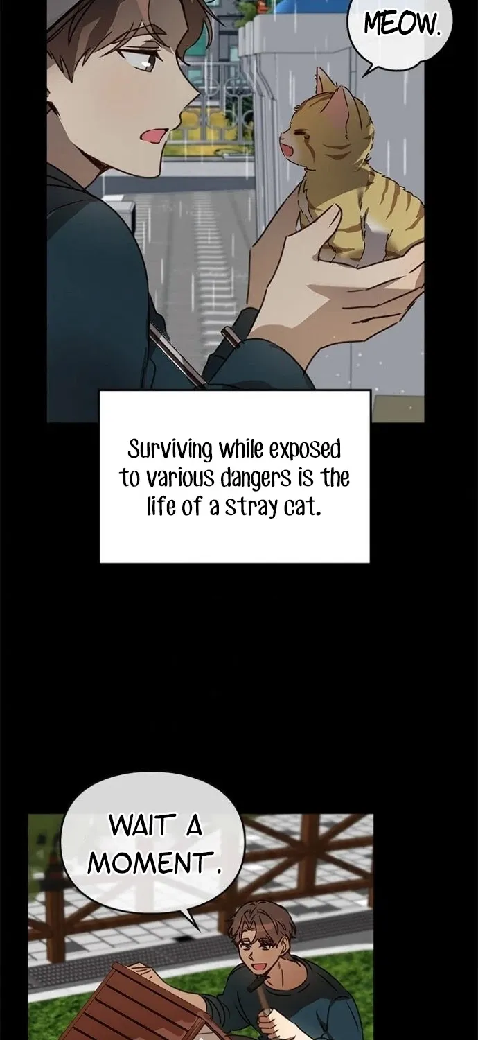 I Become a fool when it comes to my Daughter Zinmanga X Chapter 35 Page 45