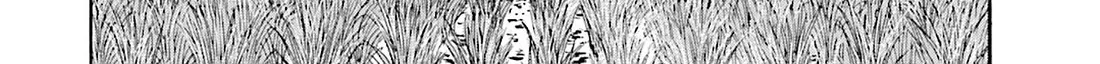 Nobunaga no Chef Zinmanga X Chapter 165 Page 22