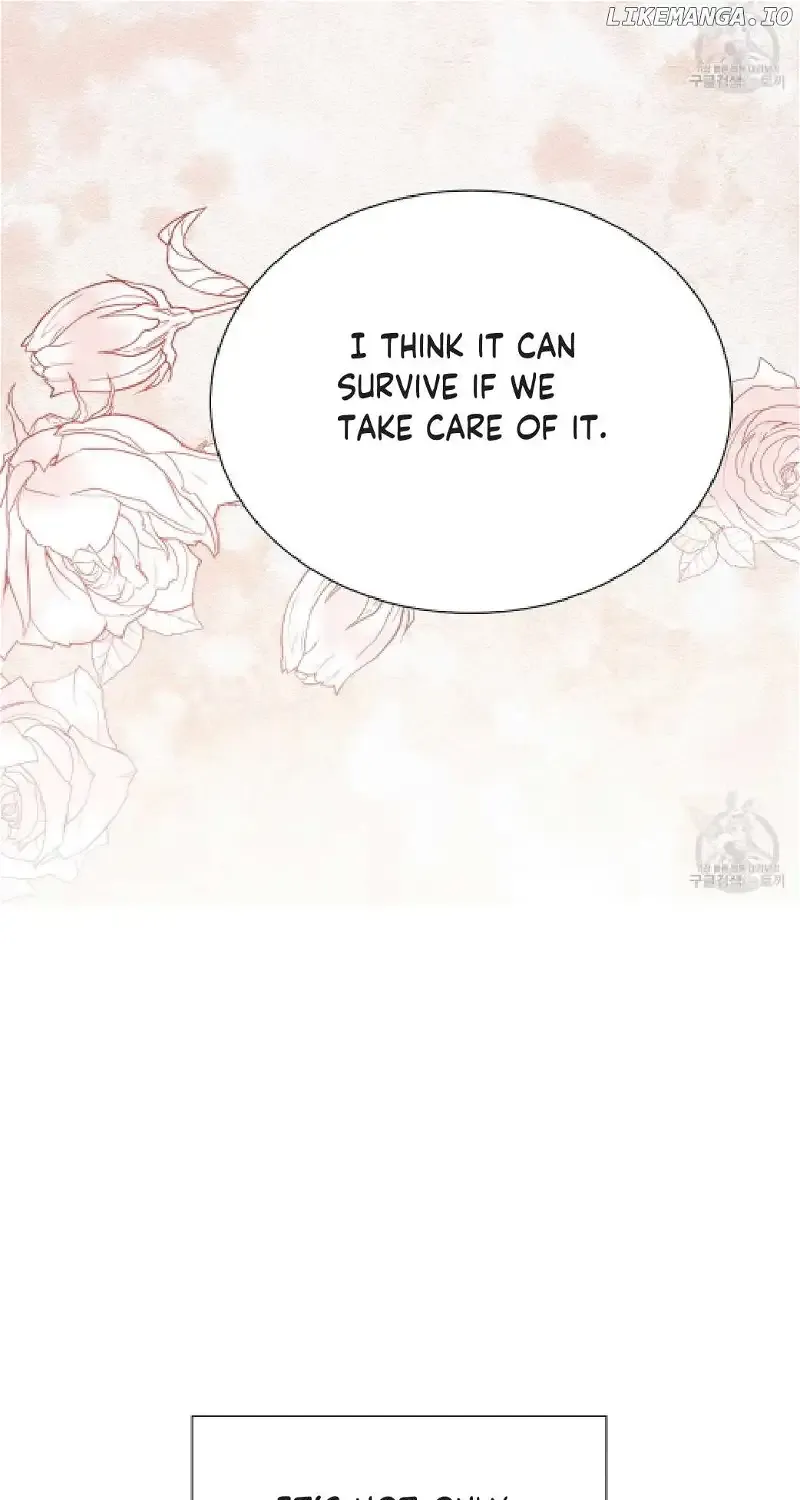 Sleepless Nights Of A Maid Zinmanga X Chapter 8 Page 80