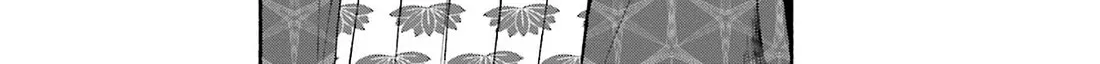 Nobunaga no Chef Zinmanga X Chapter 162 Page 34