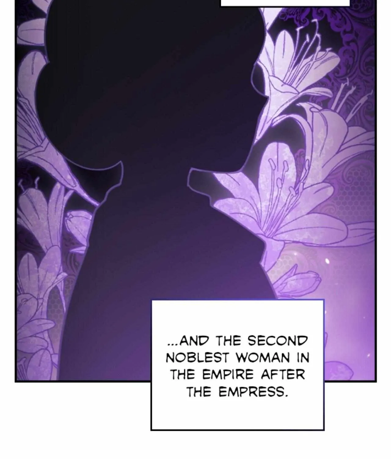 The Broken Ring : This Marriage Will Fail Anyway Zinmanga X Chapter 65.5 Page 12