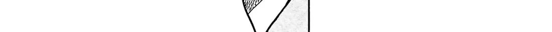 Nobunaga no Chef Zinmanga X Chapter 145 Page 37
