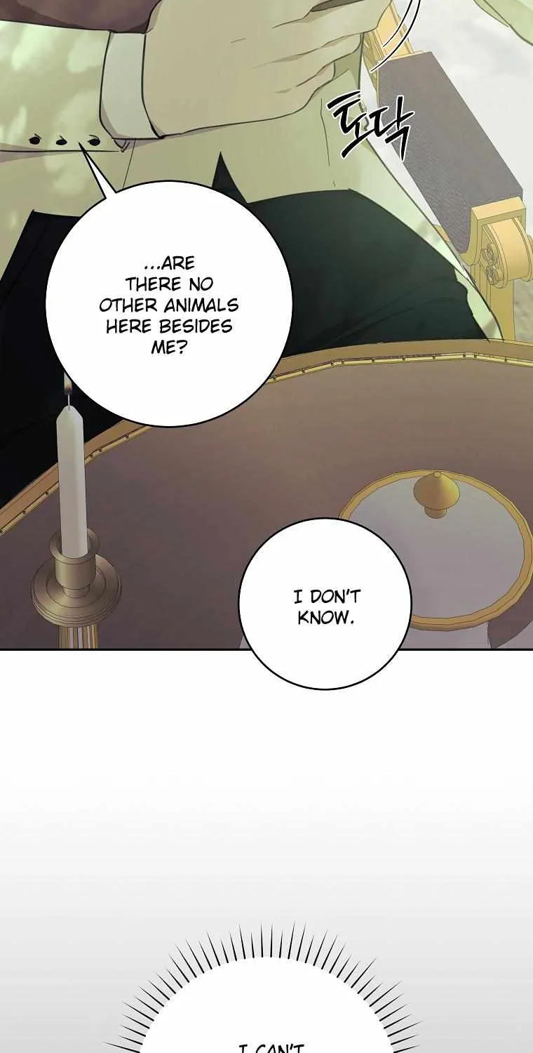 You Just Need To Hold My Hand Zinmanga X Chapter 39 Page 48