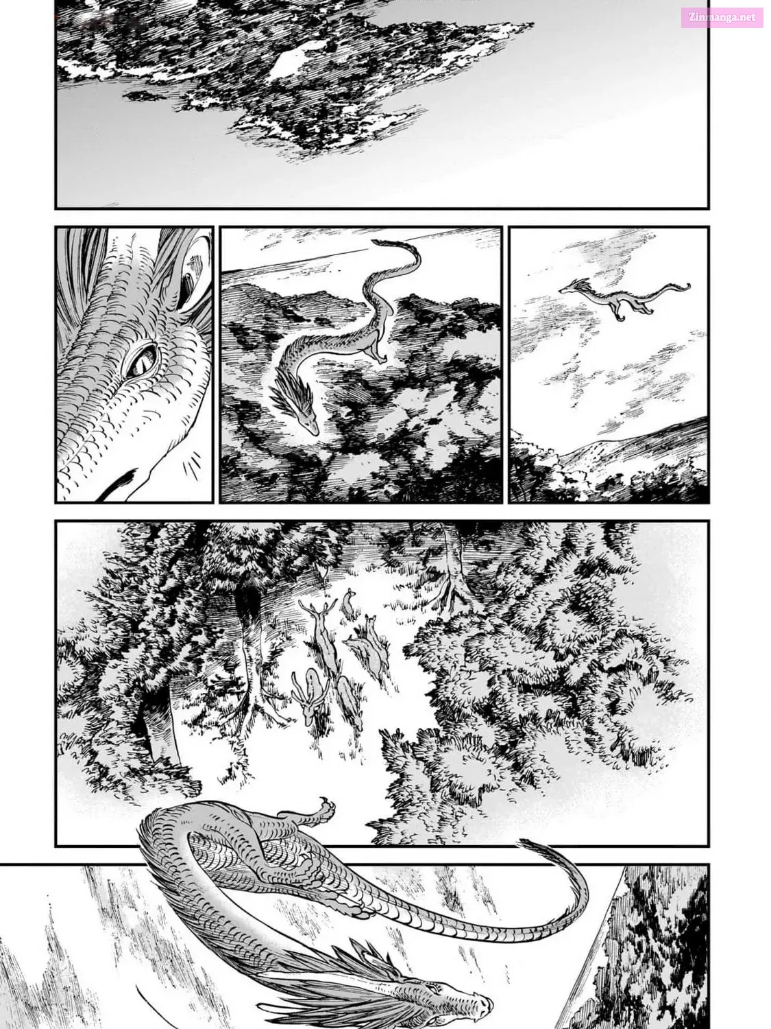 Tora wa Ryuu o Mada Tabenai Zinmanga X Chapter 21 Page 15