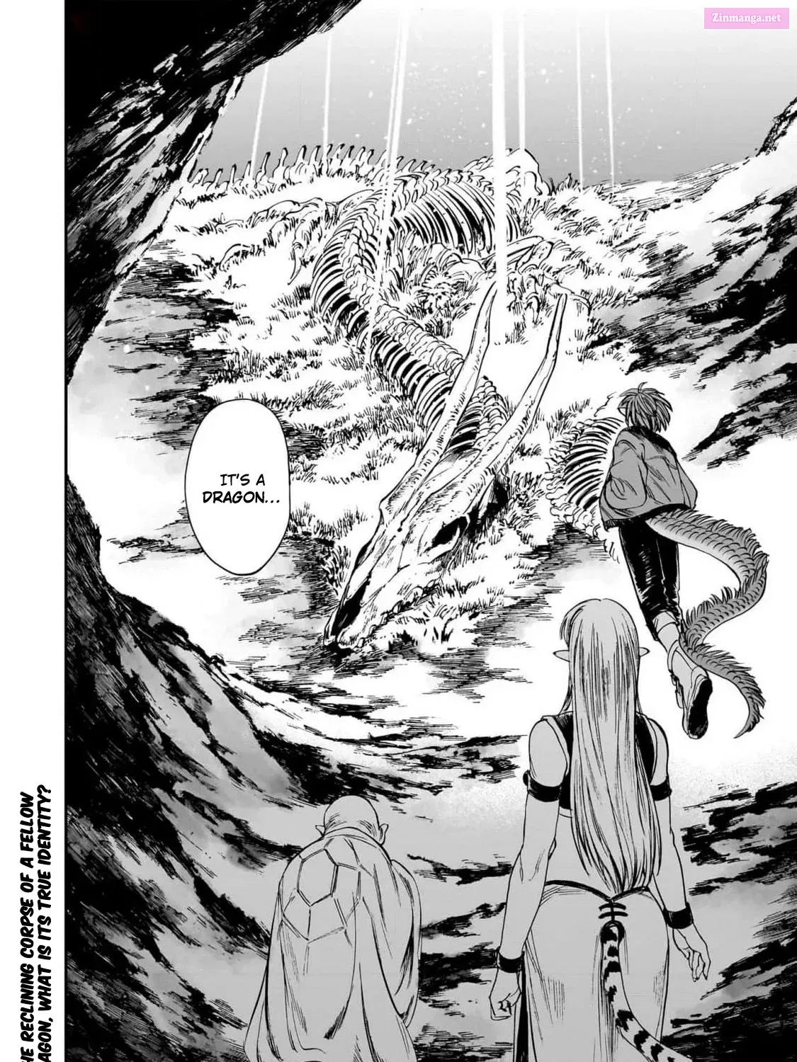 Tora wa Ryuu o Mada Tabenai Zinmanga X Chapter 17 Page 33