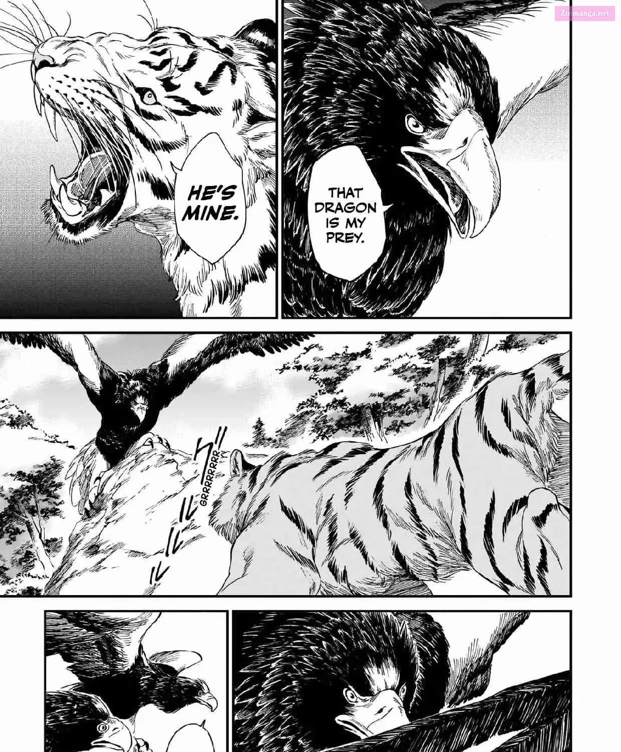 Tora wa Ryuu o Mada Tabenai Zinmanga X Chapter 13 Page 37