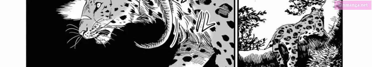 Tora wa Ryuu o Mada Tabenai Zinmanga X Chapter 9 Page 34