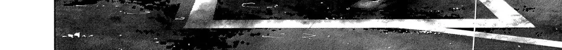 Battle Studies Zinmanga X Chapter 236 Page 28