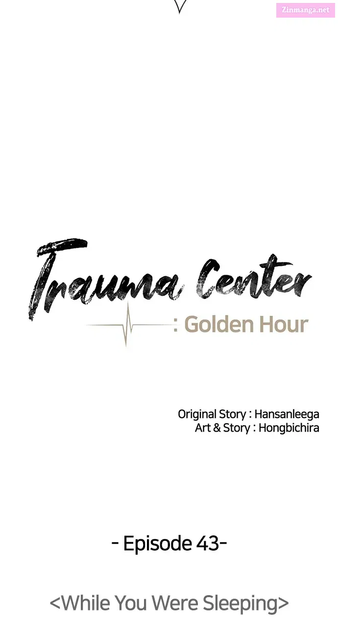 Trauma Center: Golden Hour(The Trauma Code) Zinmanga X Chapter 43 Page 18