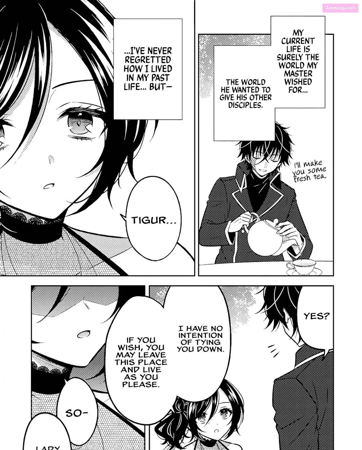 Moto Ansatsusha, Tensei Shite Kizoku no Reijou ni Narimashita Zinmanga X Chapter 19.5 Page 9