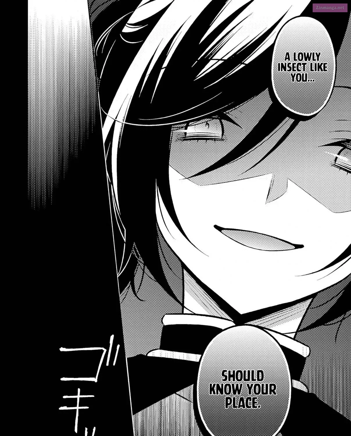 Moto Ansatsusha, Tensei Shite Kizoku no Reijou ni Narimashita Zinmanga X Chapter 19.2 Page 4