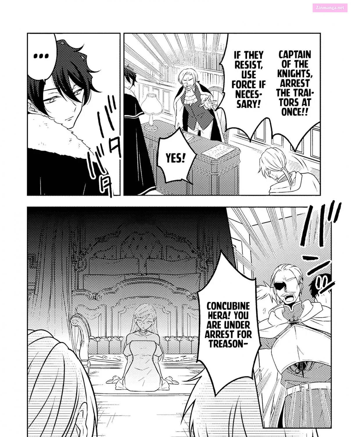 Moto Ansatsusha, Tensei Shite Kizoku no Reijou ni Narimashita Zinmanga X Chapter 19.2 Page 8