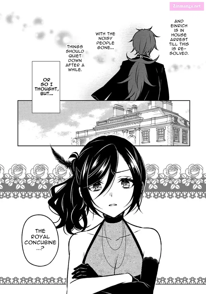 Moto Ansatsusha, Tensei Shite Kizoku no Reijou ni Narimashita Zinmanga X Chapter 15.1 Page 5