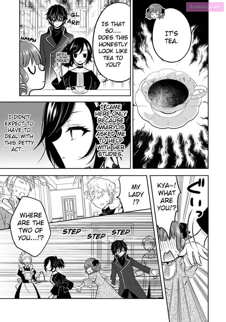 Moto Ansatsusha, Tensei Shite Kizoku no Reijou ni Narimashita Zinmanga X Chapter 7.2 Page 6