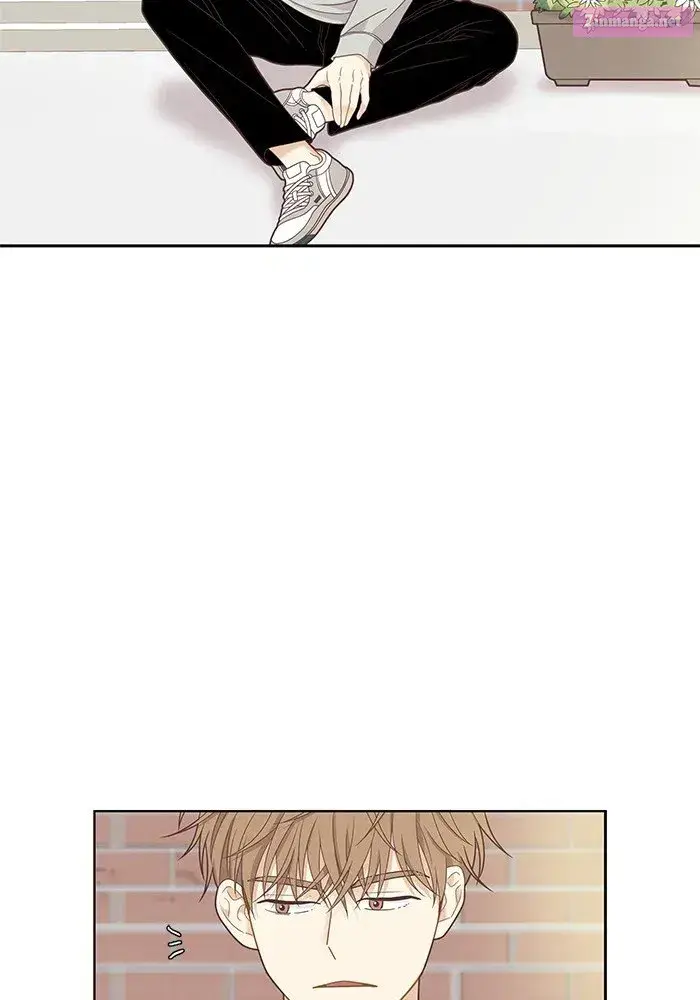 Girl’s World ( World of Girl ) Zinmanga X Chapter 224 Page 28