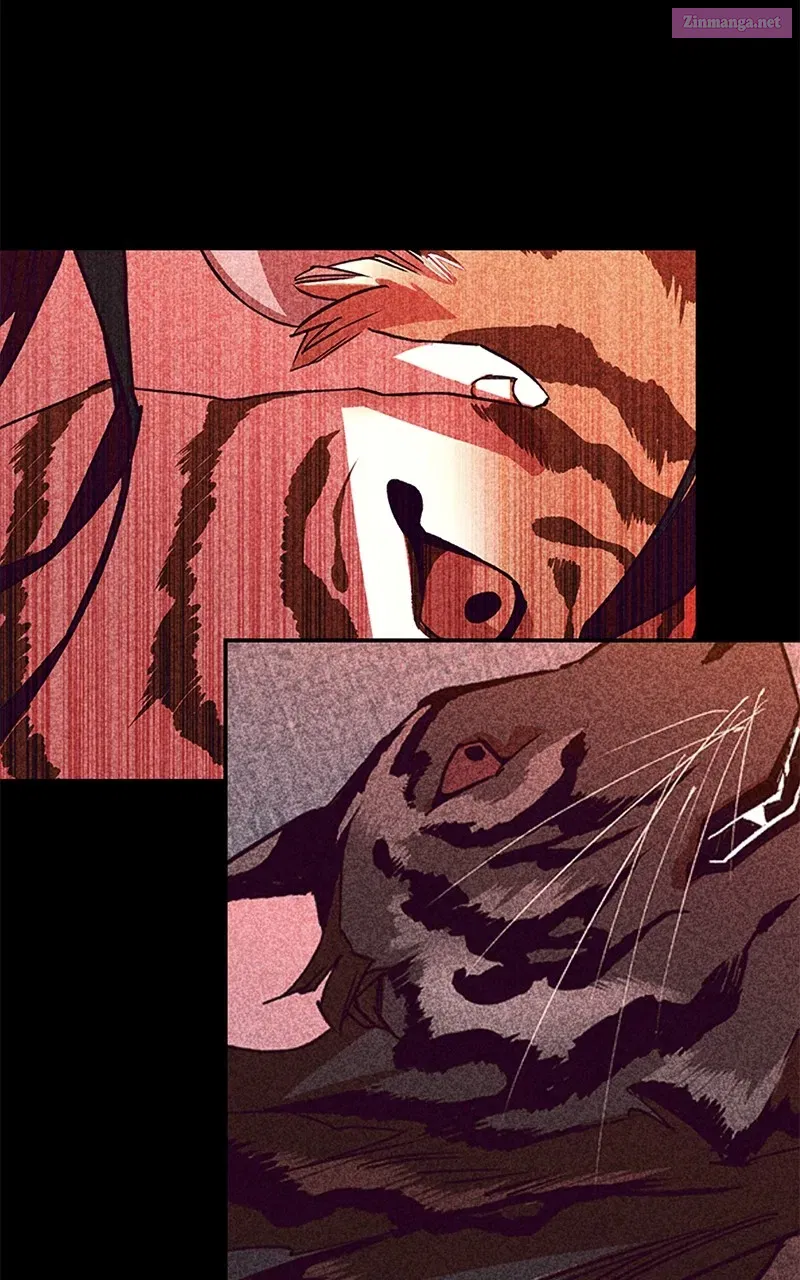 How a GoddessWins Over Tigers Zinmanga X Chapter 43 Page 23