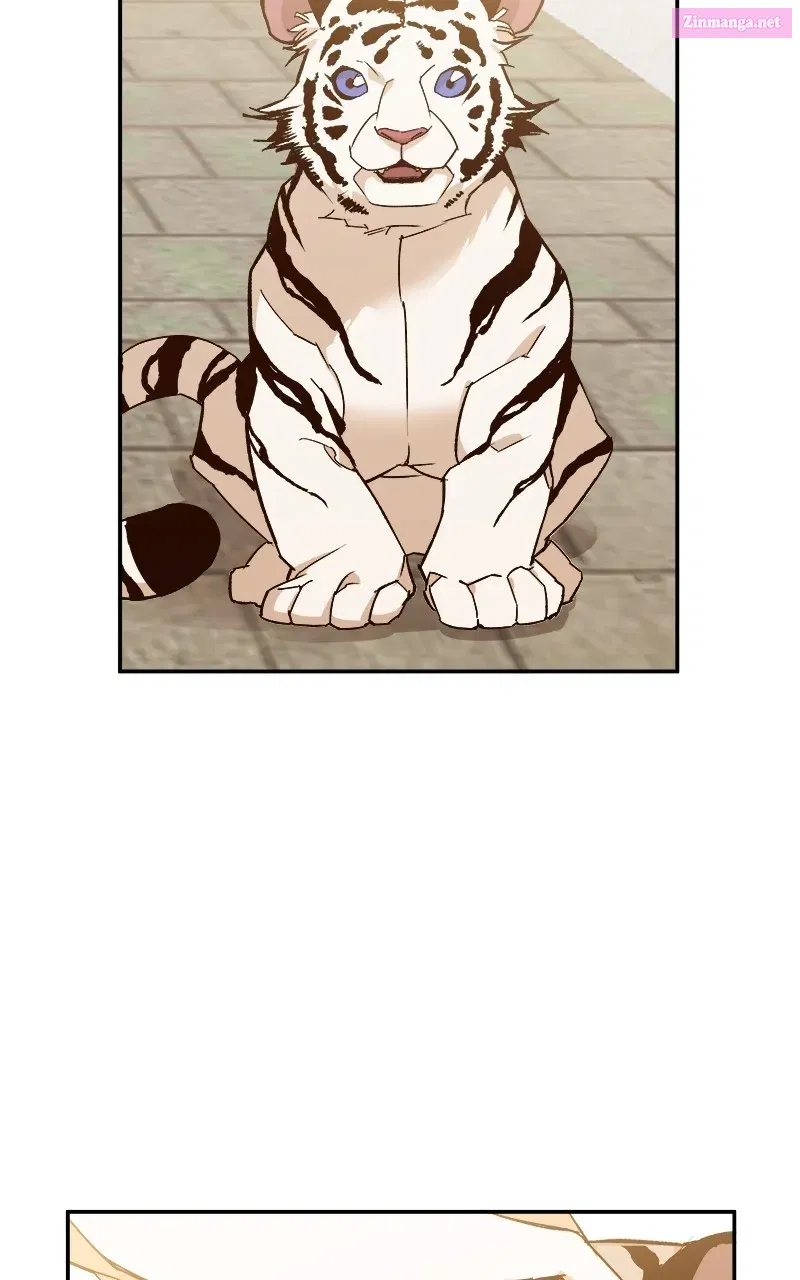 How a GoddessWins Over Tigers Zinmanga X Chapter 1 Page 32