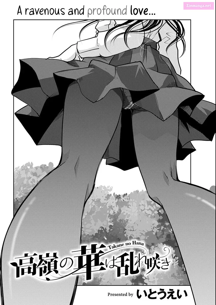 Takane no Hana wa Midaresaki Zinmanga X Chapter 66 Page 4