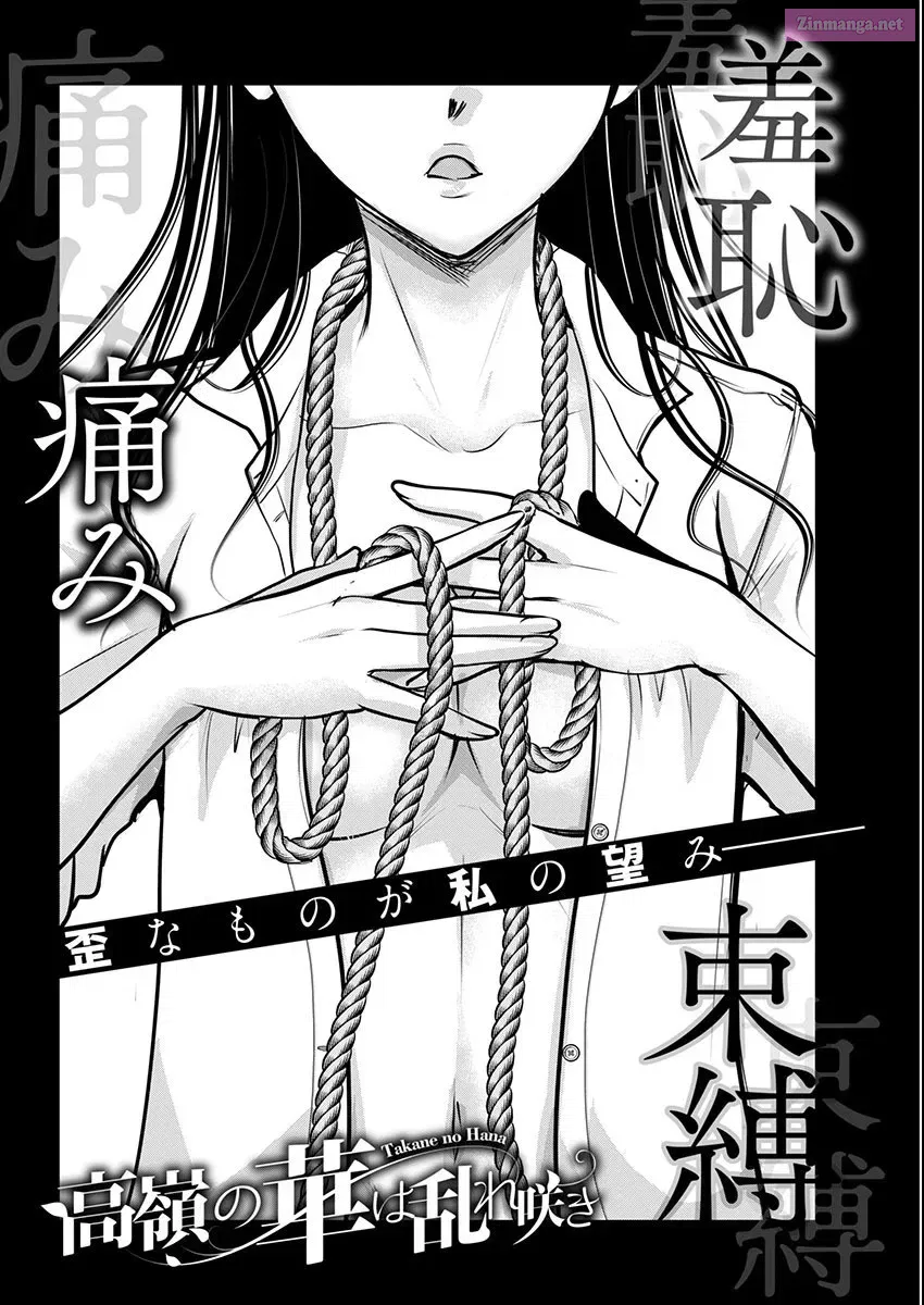 Takane no Hana wa Midaresaki Zinmanga X Chapter 62 Page 4