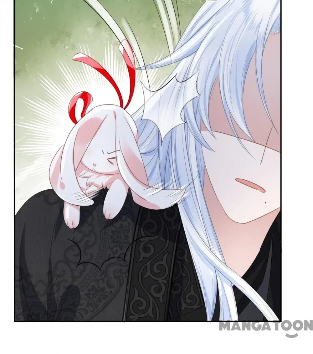Cynical Master Raises Rabbit Spirit Zinmanga X Chapter 9 Page 74