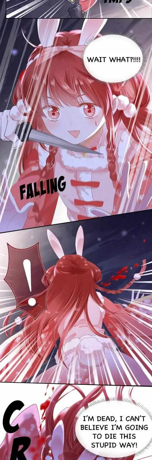 Cynical Master Raises Rabbit Spirit Zinmanga X Chapter 2 Page 4