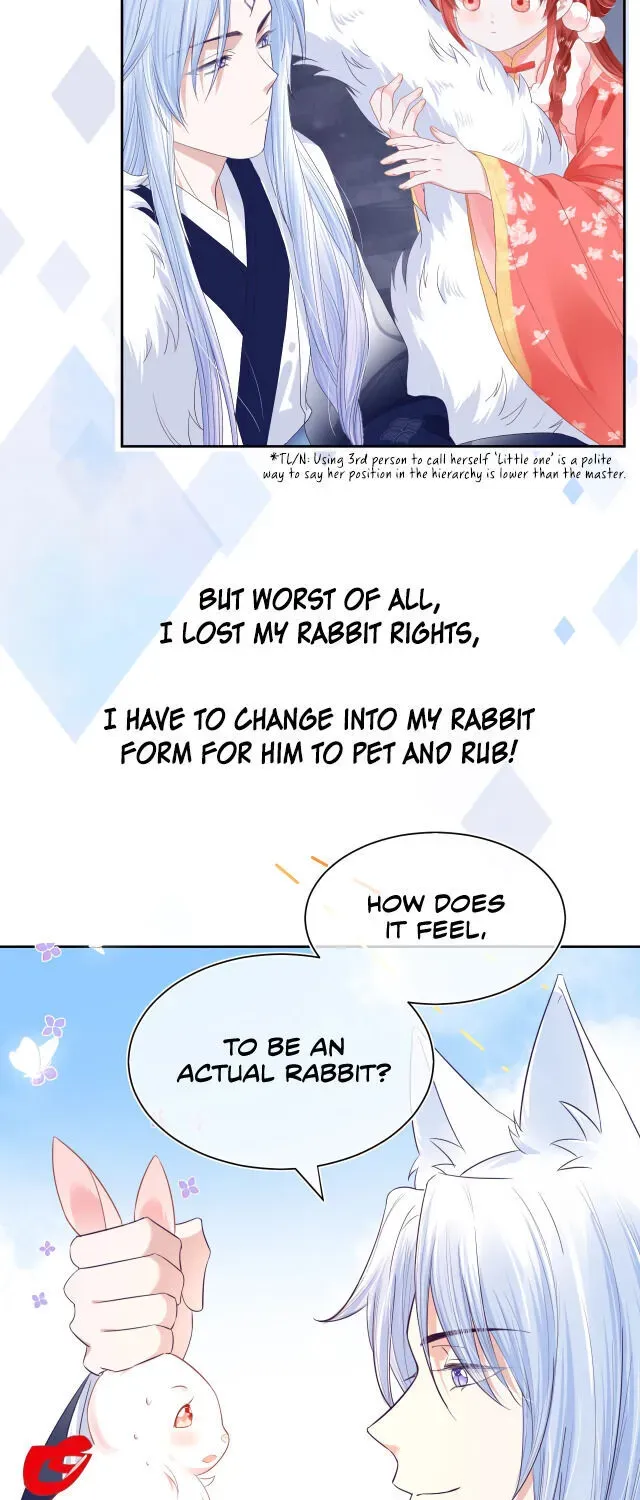 Cynical Master Raises Rabbit Spirit Zinmanga X Chapter 0.2 Page 12
