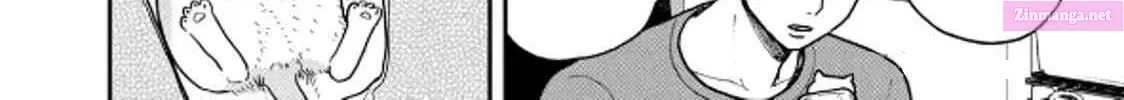 Tsureneko:  Maruru to Hachi Zinmanga X Chapter 31 Page 12