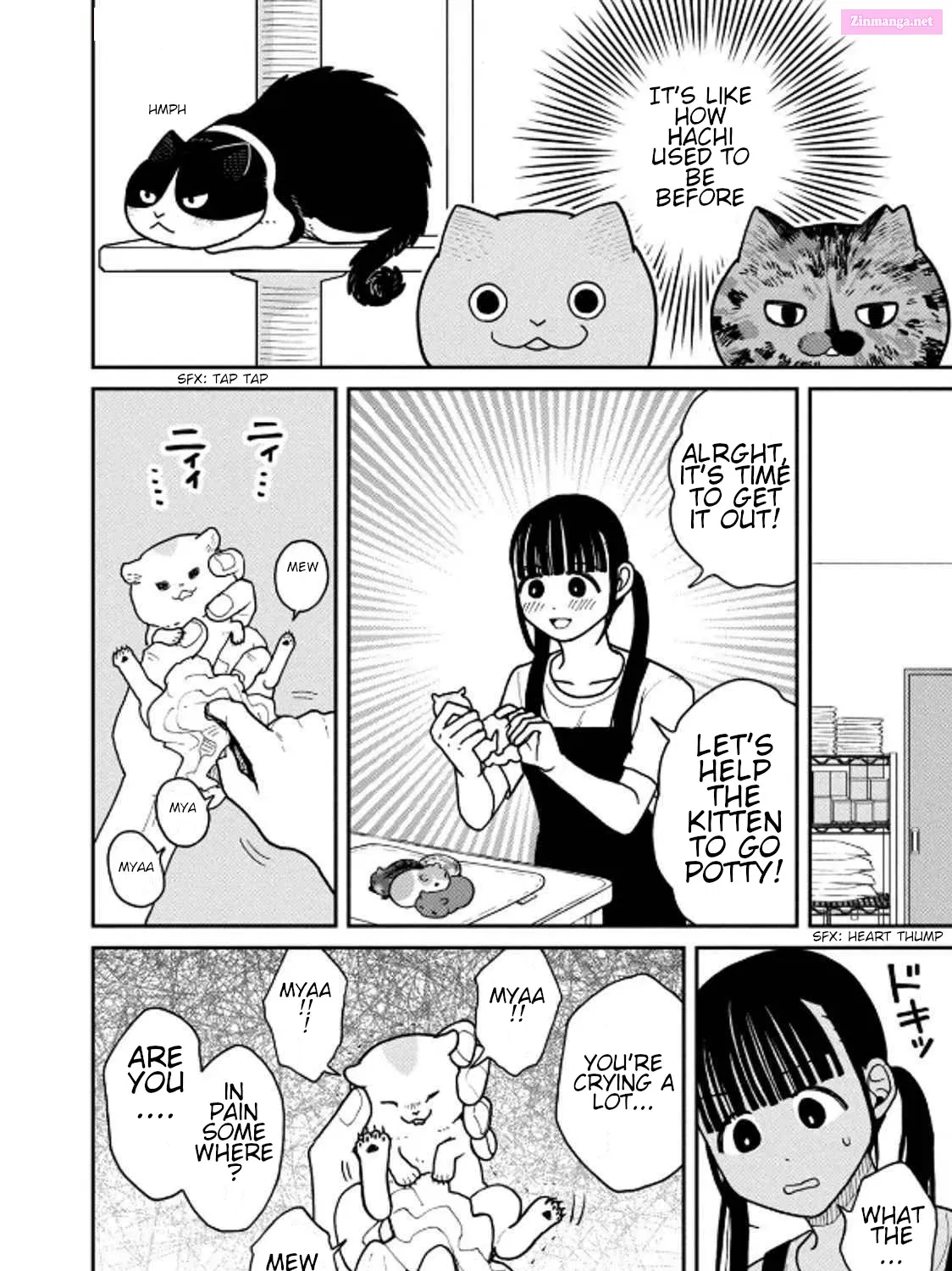 Tsureneko:  Maruru to Hachi Zinmanga X Chapter 30 Page 3