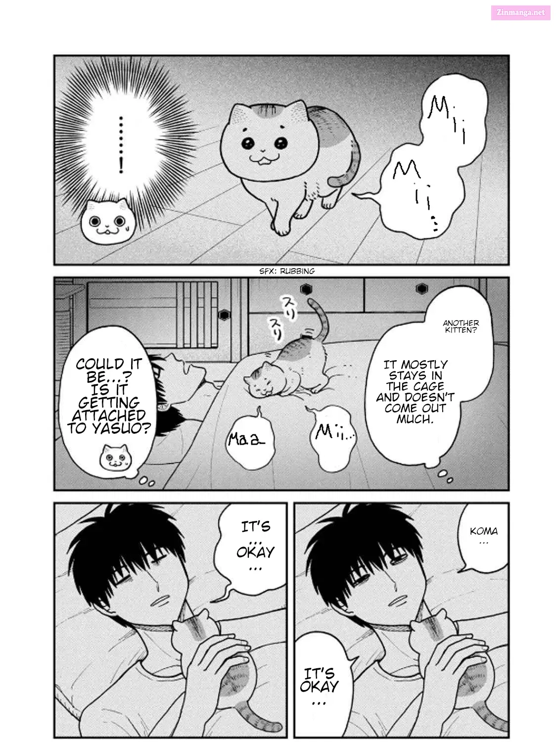 Tsureneko:  Maruru to Hachi Zinmanga X Chapter 30 Page 11