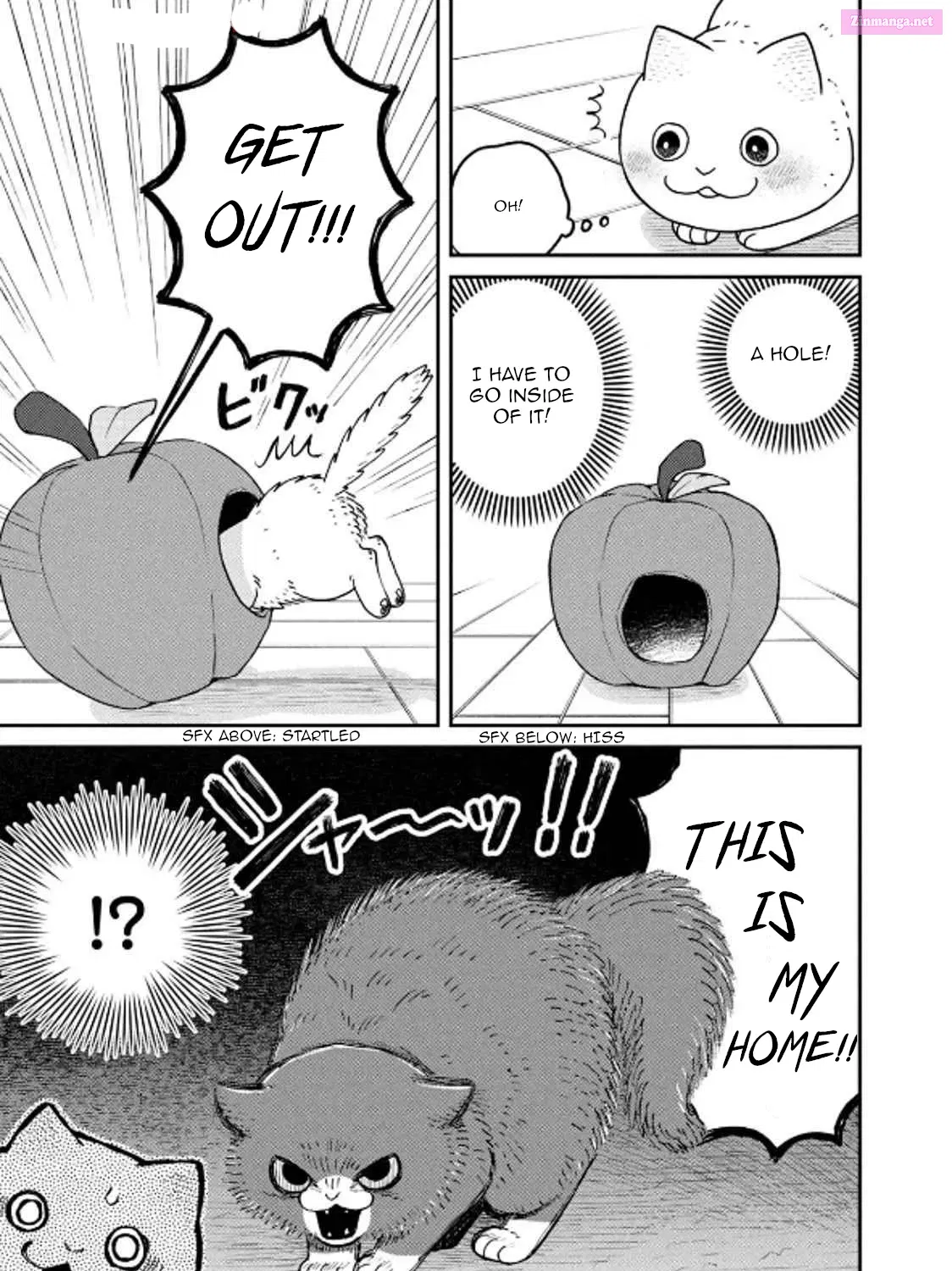 Tsureneko:  Maruru to Hachi Zinmanga X Chapter 29 Page 13
