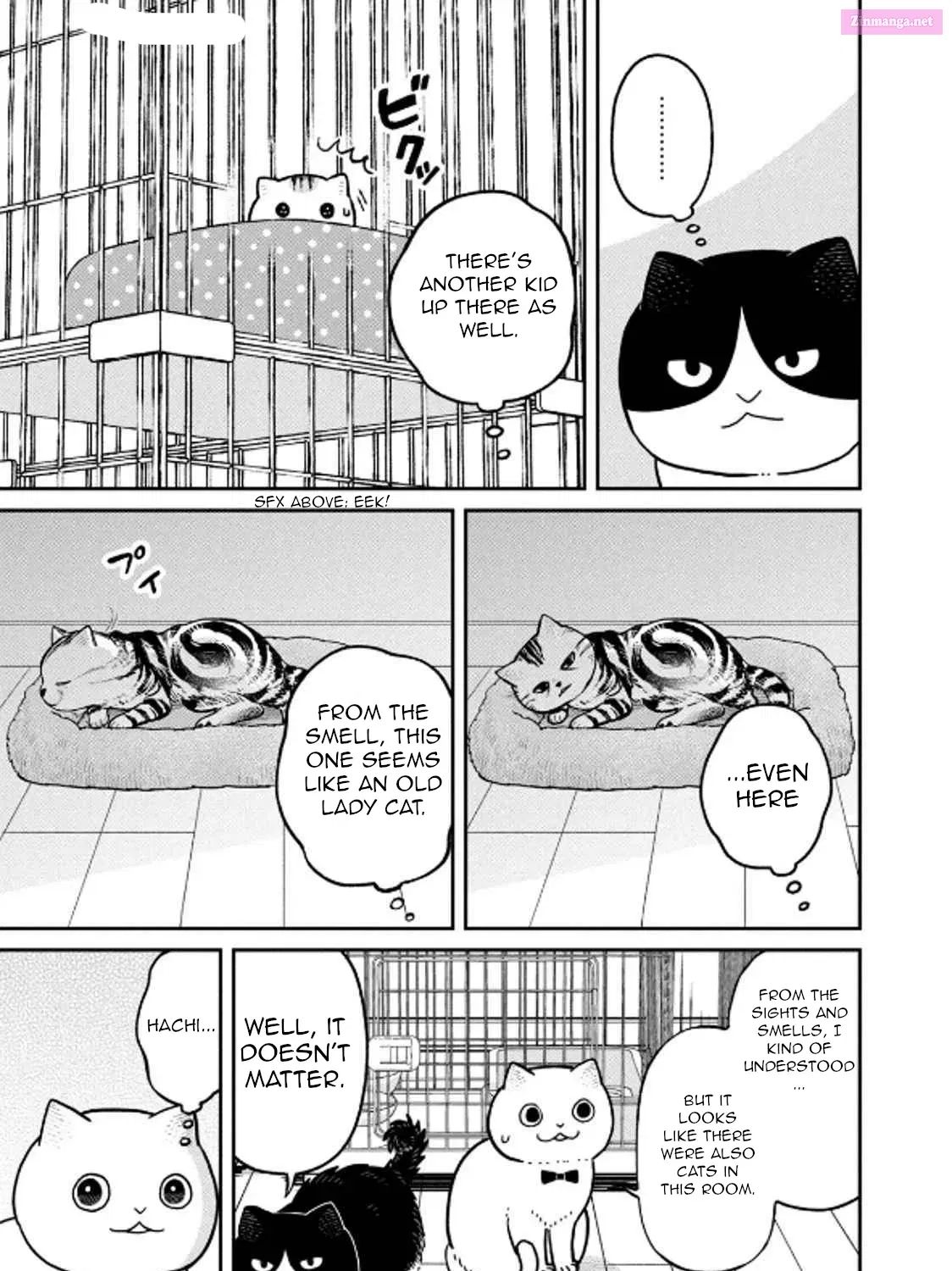 Tsureneko:  Maruru to Hachi Zinmanga X Chapter 29 Page 17
