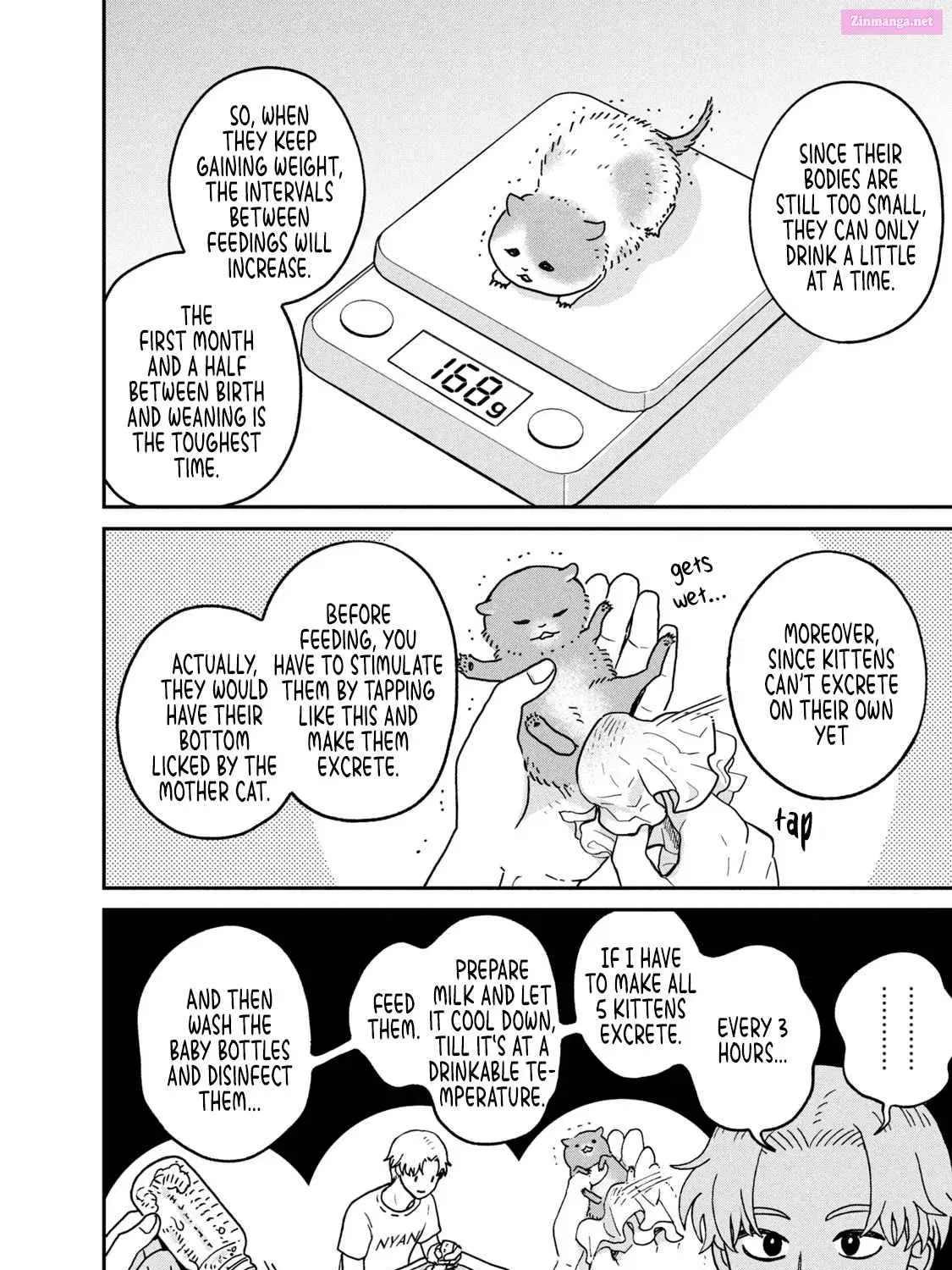 Tsureneko:  Maruru to Hachi Zinmanga X Chapter 27 Page 3