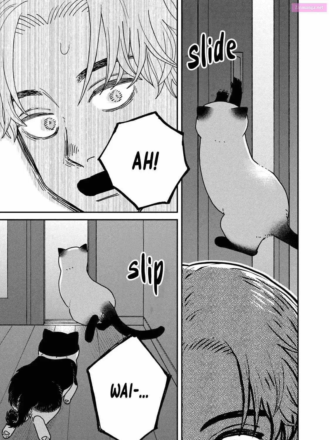 Tsureneko:  Maruru to Hachi Zinmanga X Chapter 27 Page 13