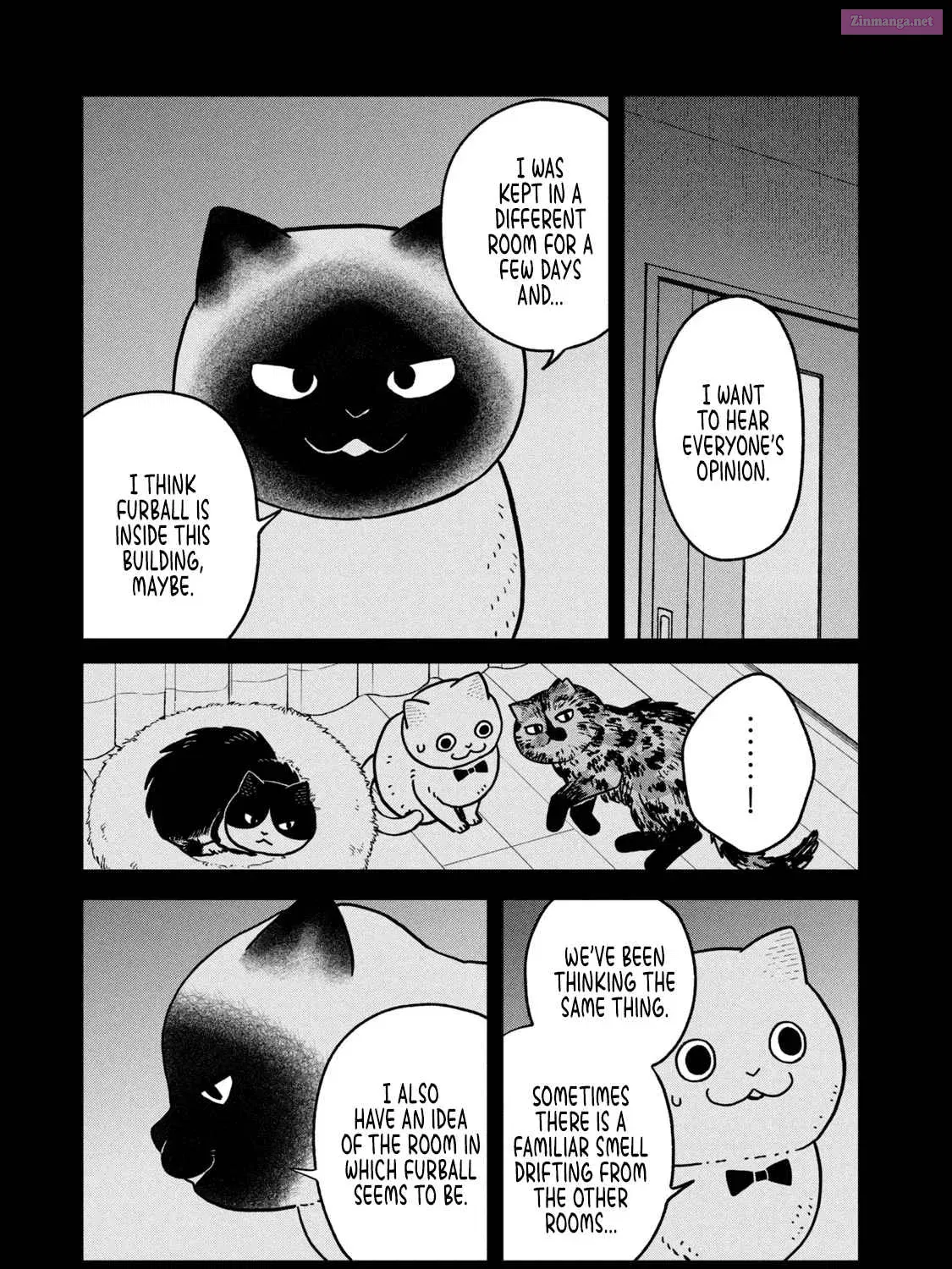 Tsureneko:  Maruru to Hachi Zinmanga X Chapter 27 Page 17