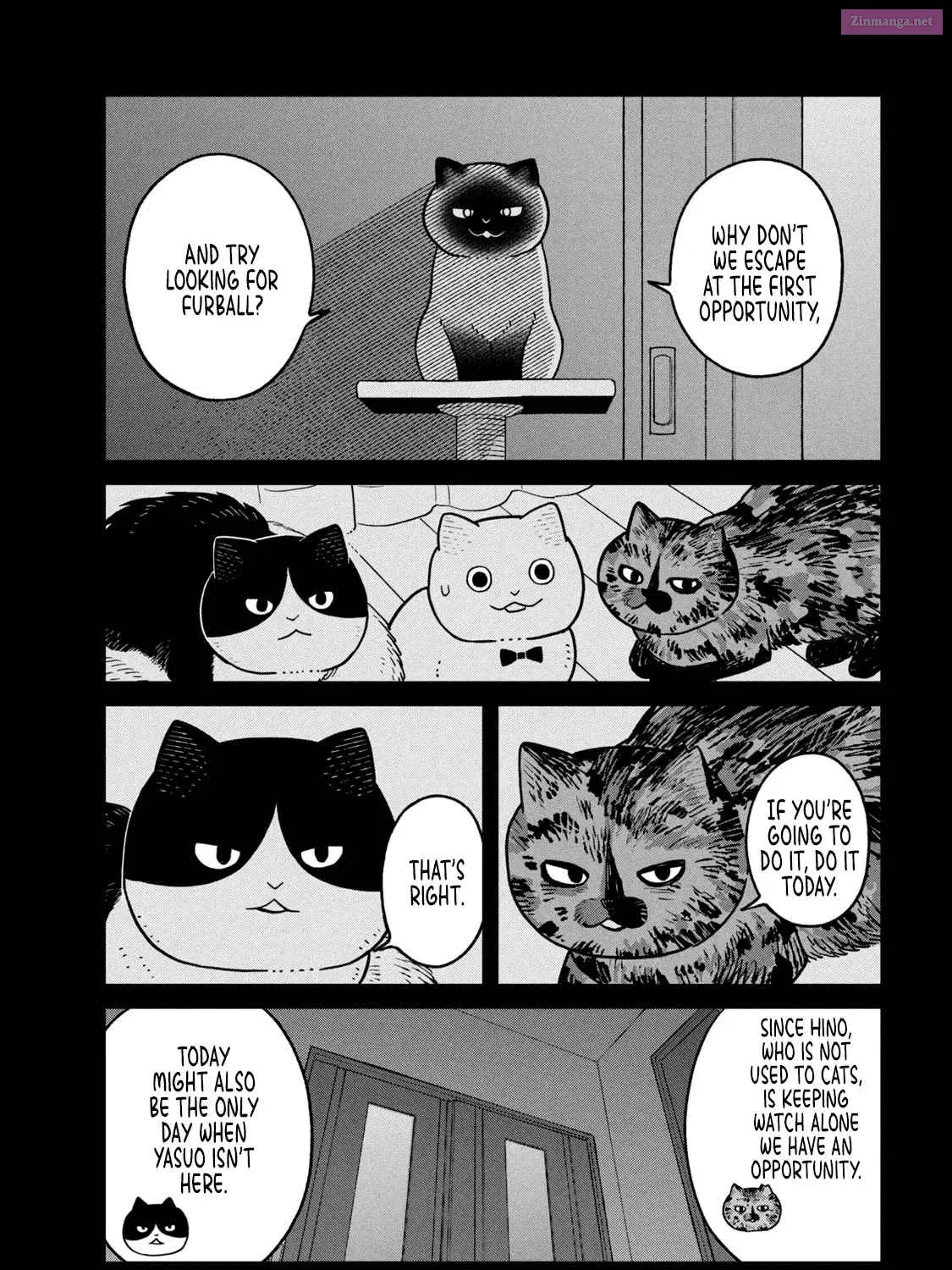 Tsureneko:  Maruru to Hachi Zinmanga X Chapter 27 Page 19