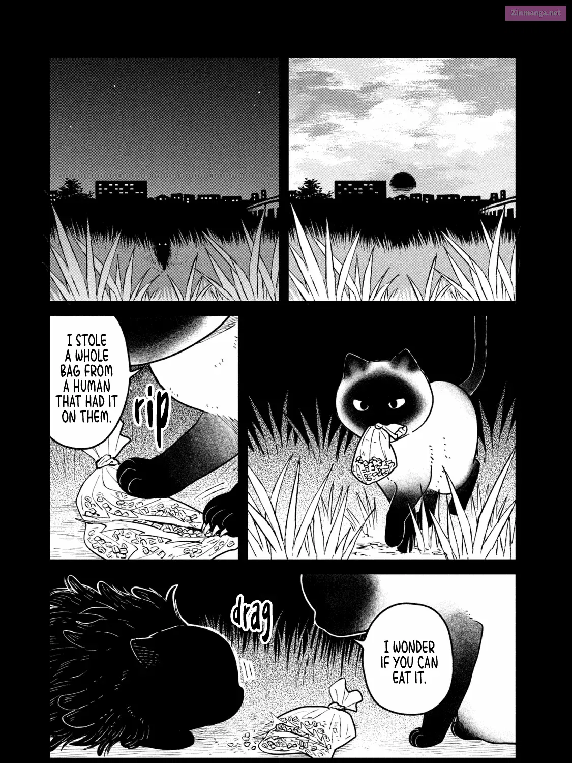 Tsureneko:  Maruru to Hachi Zinmanga X Chapter 25 Page 21