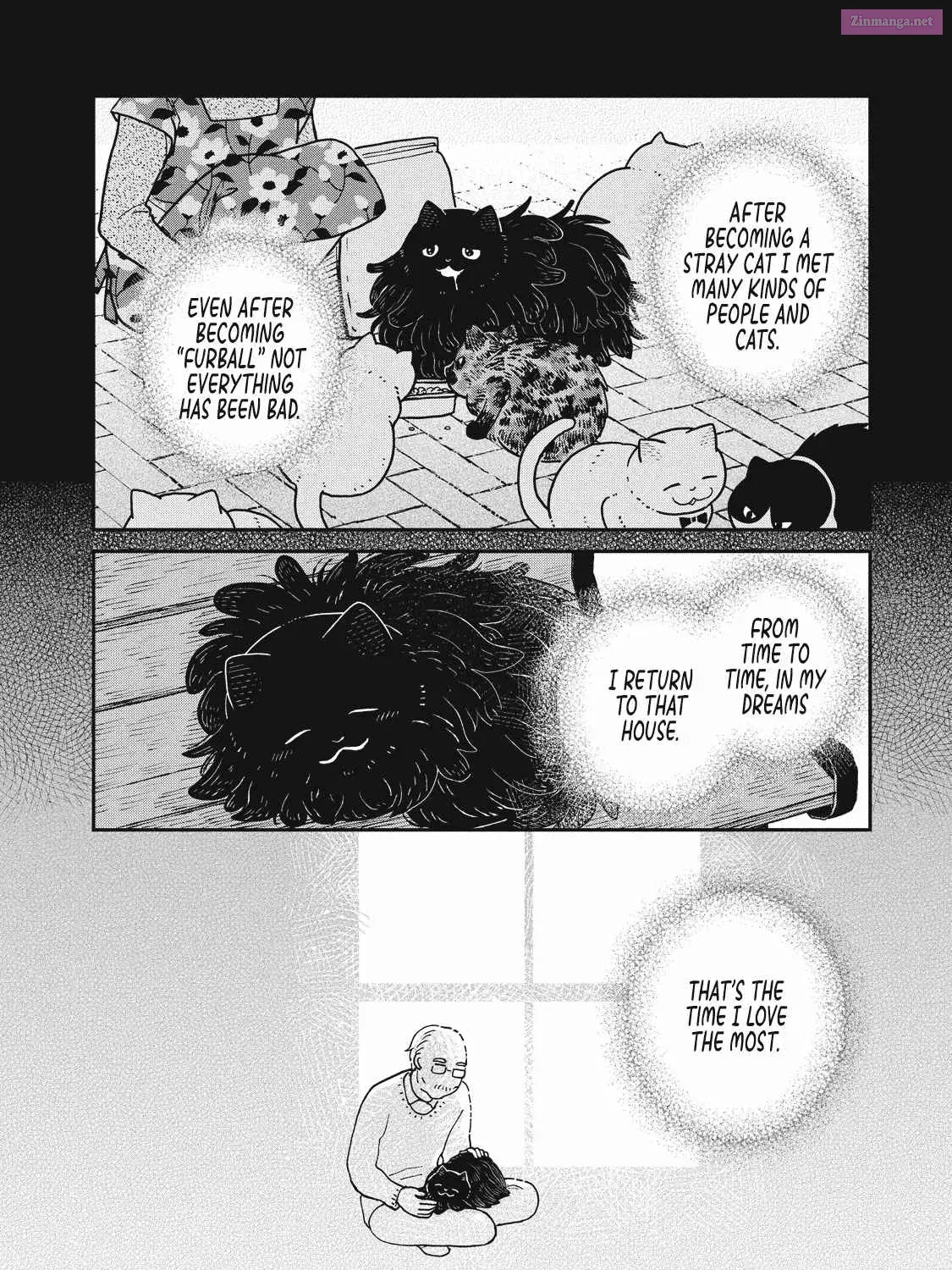 Tsureneko:  Maruru to Hachi Zinmanga X Chapter 25 Page 27