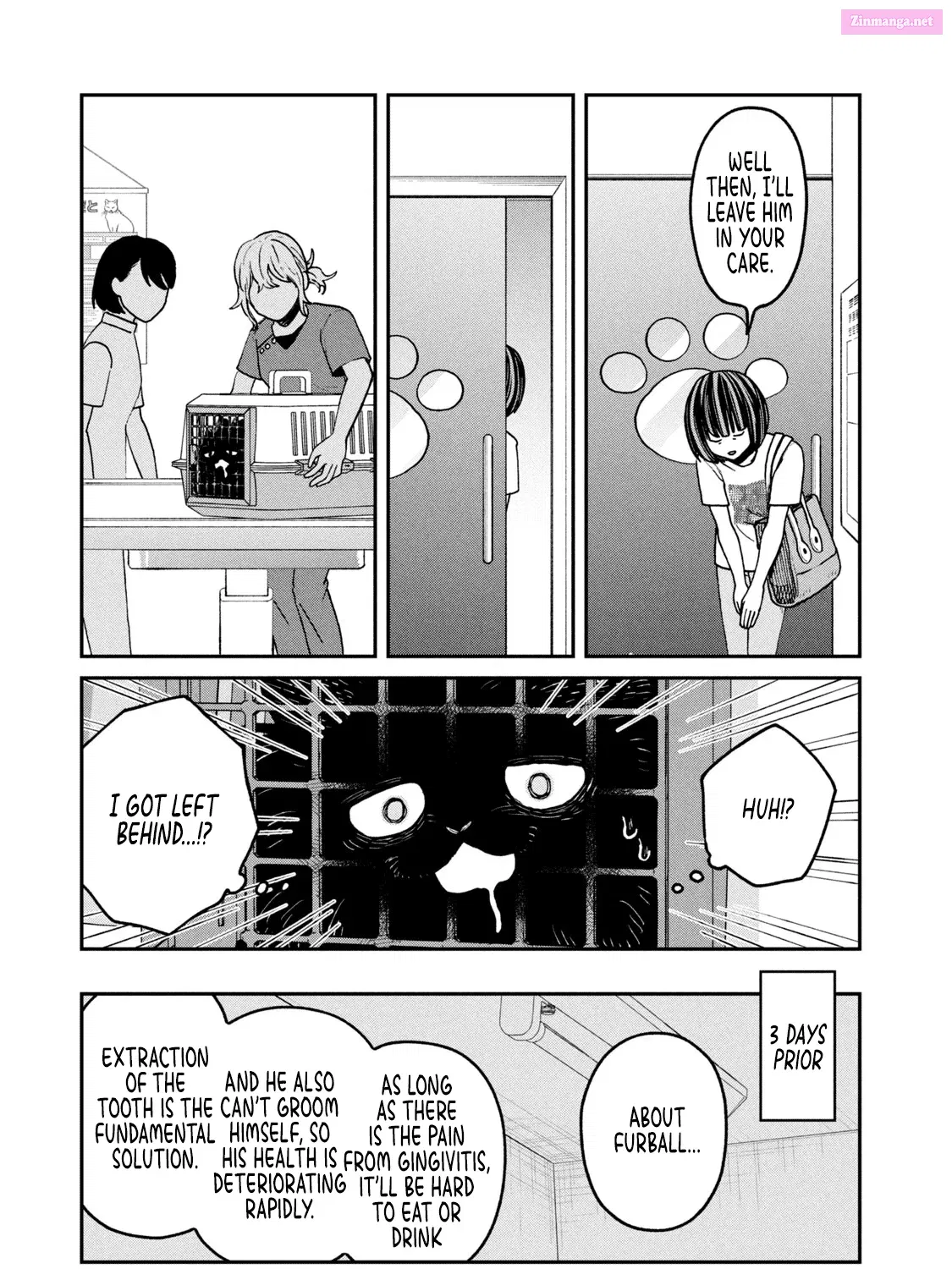 Tsureneko:  Maruru to Hachi Zinmanga X Chapter 24 Page 17