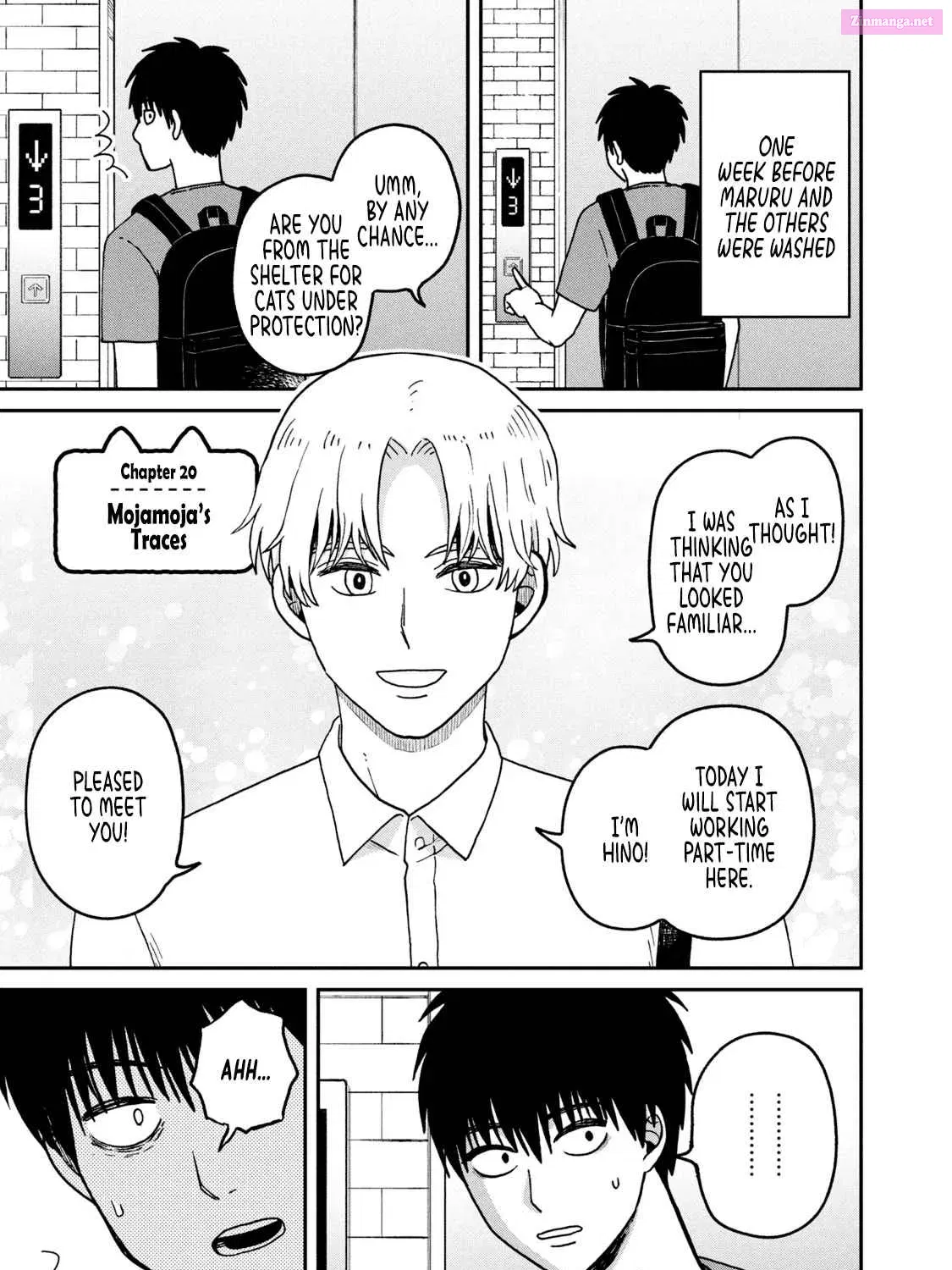 Tsureneko:  Maruru to Hachi Zinmanga X Chapter 20 Page 1
