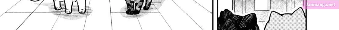 Tsureneko:  Maruru to Hachi Zinmanga X Chapter 19 Page 13