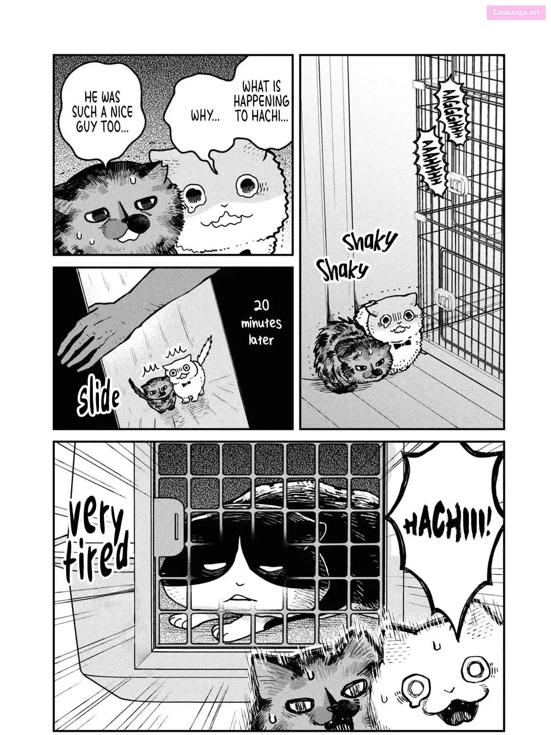 Tsureneko:  Maruru to Hachi Zinmanga X Chapter 19 Page 18