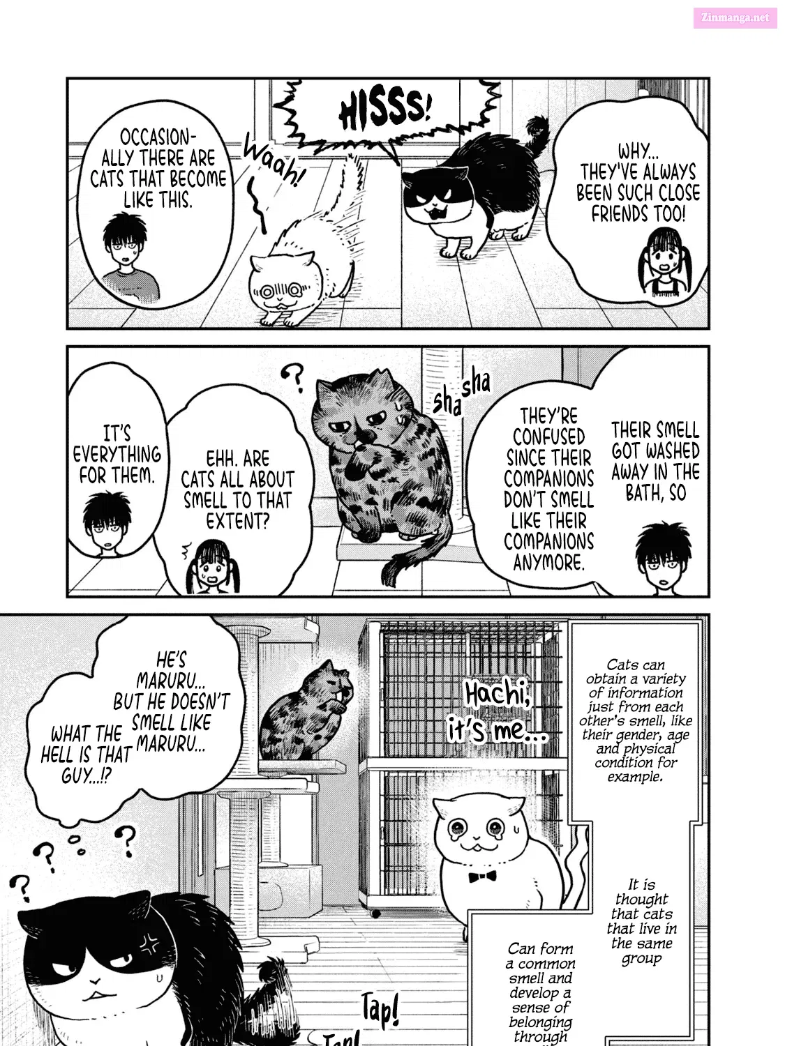 Tsureneko:  Maruru to Hachi Zinmanga X Chapter 19 Page 24