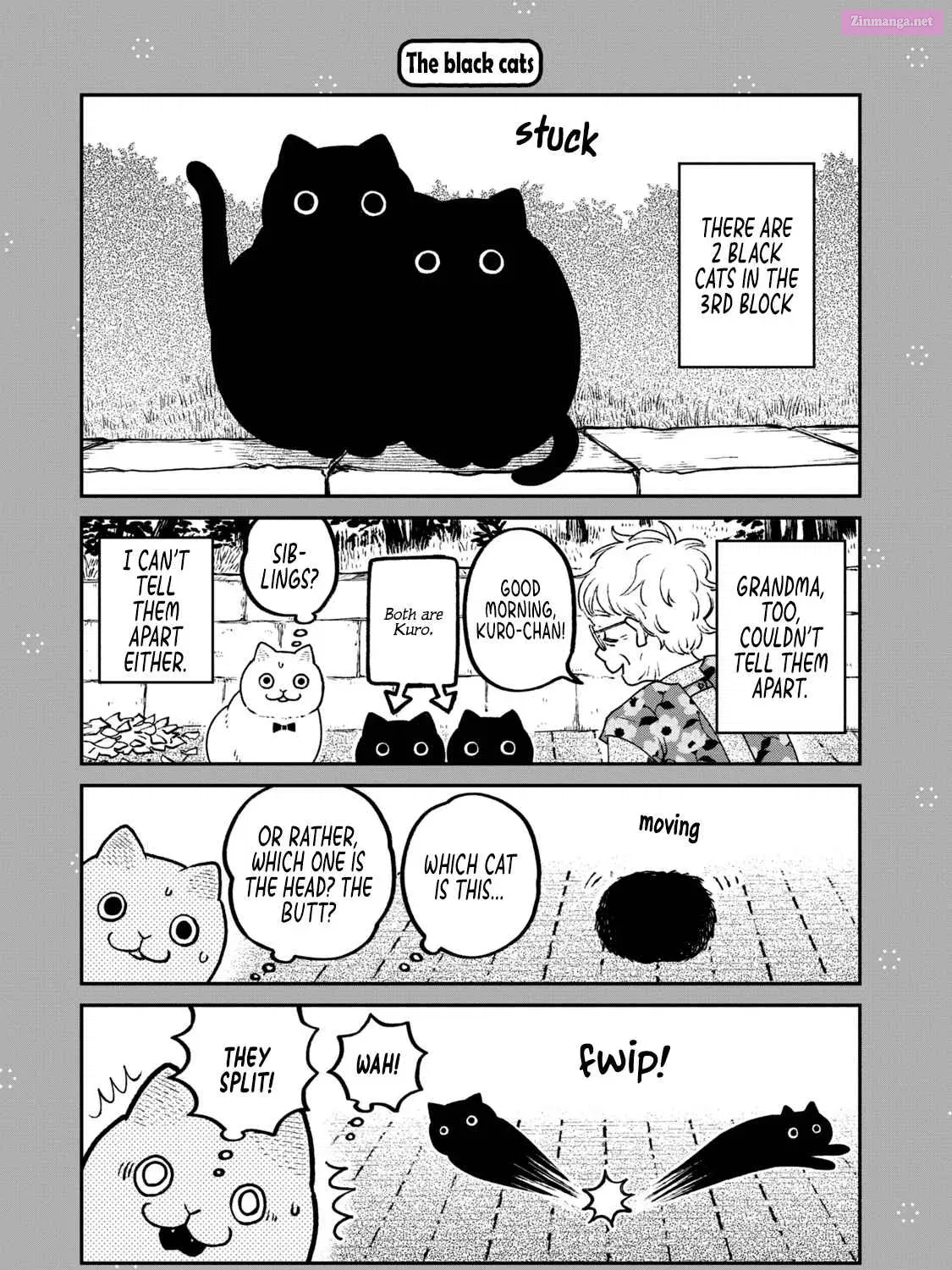 Tsureneko:  Maruru to Hachi Zinmanga X Chapter 18.1 Page 3